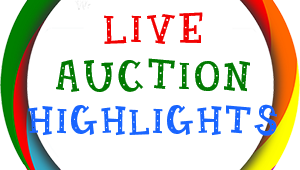 2016 Spiritus Sanctus Academy LIVE AUCTION HIGHLIGHTS